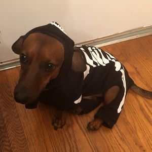 Meet your Posher, Dan